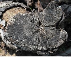 Photo Textures of Wood